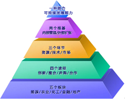 中化集團發展戰略