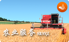 農業服務